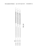 SINGLE-STRANDED NUCLEIC ACID MOLECULE FOR CONTROLLING GENE EXPRESSION diagram and image