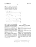 SINGLE-STRANDED NUCLEIC ACID MOLECULE FOR CONTROLLING GENE EXPRESSION diagram and image