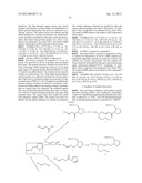 SINGLE-STRANDED NUCLEIC ACID MOLECULE FOR CONTROLLING GENE EXPRESSION diagram and image