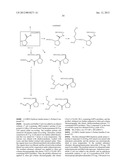 SINGLE-STRANDED NUCLEIC ACID MOLECULE FOR CONTROLLING GENE EXPRESSION diagram and image