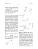 SINGLE-STRANDED NUCLEIC ACID MOLECULE FOR CONTROLLING GENE EXPRESSION diagram and image