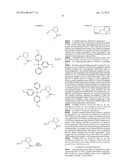 SINGLE-STRANDED NUCLEIC ACID MOLECULE FOR CONTROLLING GENE EXPRESSION diagram and image