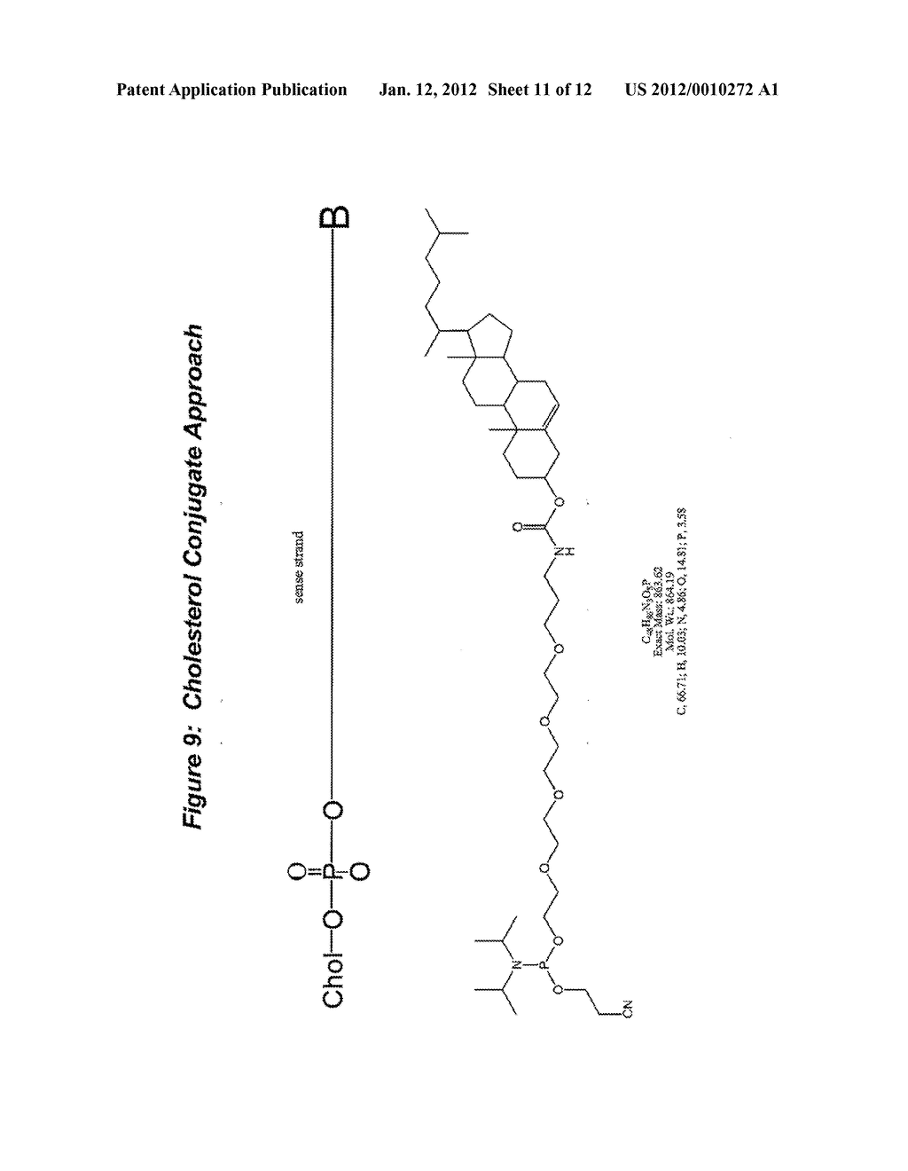 RNA Interference Mediated Inhibition of Apoptosis Signal-Regulating Kinase     1 (ASK1) Gene Expression Using Short Interfering Nucleic Acid (siNA) - diagram, schematic, and image 12