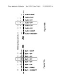 IMMUNOGEN PLATFORM diagram and image