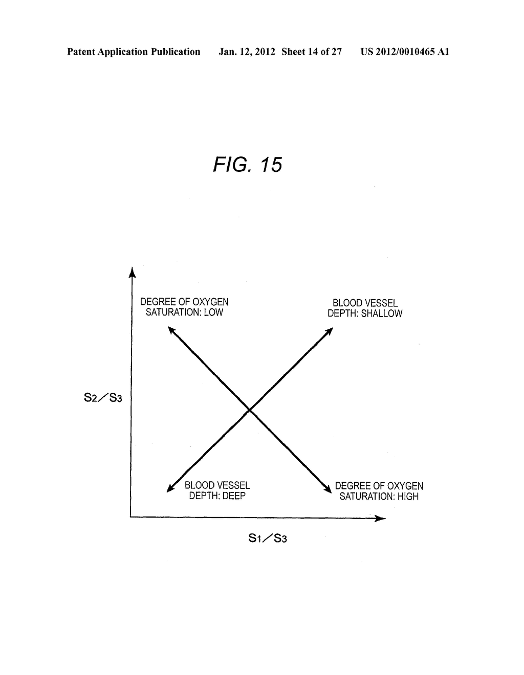 ENDOSCOPE APPARATUS - diagram, schematic, and image 15