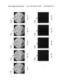 Chemically-selective, label free, microendoscopic system based on coherent     anti-stokes raman scattering and microelectromechanical fiber optic probe diagram and image