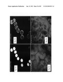 Chemically-selective, label free, microendoscopic system based on coherent     anti-stokes raman scattering and microelectromechanical fiber optic probe diagram and image