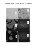 Chemically-selective, label free, microendoscopic system based on coherent     anti-stokes raman scattering and microelectromechanical fiber optic probe diagram and image