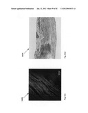 Chemically-selective, label free, microendoscopic system based on coherent     anti-stokes raman scattering and microelectromechanical fiber optic probe diagram and image