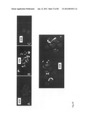 Chemically-selective, label free, microendoscopic system based on coherent     anti-stokes raman scattering and microelectromechanical fiber optic probe diagram and image