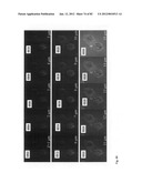 Chemically-selective, label free, microendoscopic system based on coherent     anti-stokes raman scattering and microelectromechanical fiber optic probe diagram and image