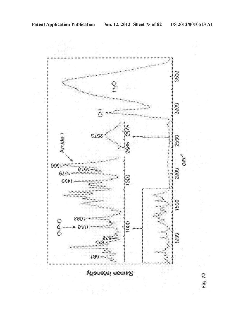 Chemically-selective, label free, microendoscopic system based on coherent     anti-stokes raman scattering and microelectromechanical fiber optic probe - diagram, schematic, and image 76