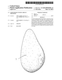 Light-Weight External Breast Prosthesis diagram and image