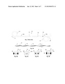 PARTIALLY SOLUBLE IMPLANTABLE OR INSERTABLE MEDICAL DEVICES diagram and image