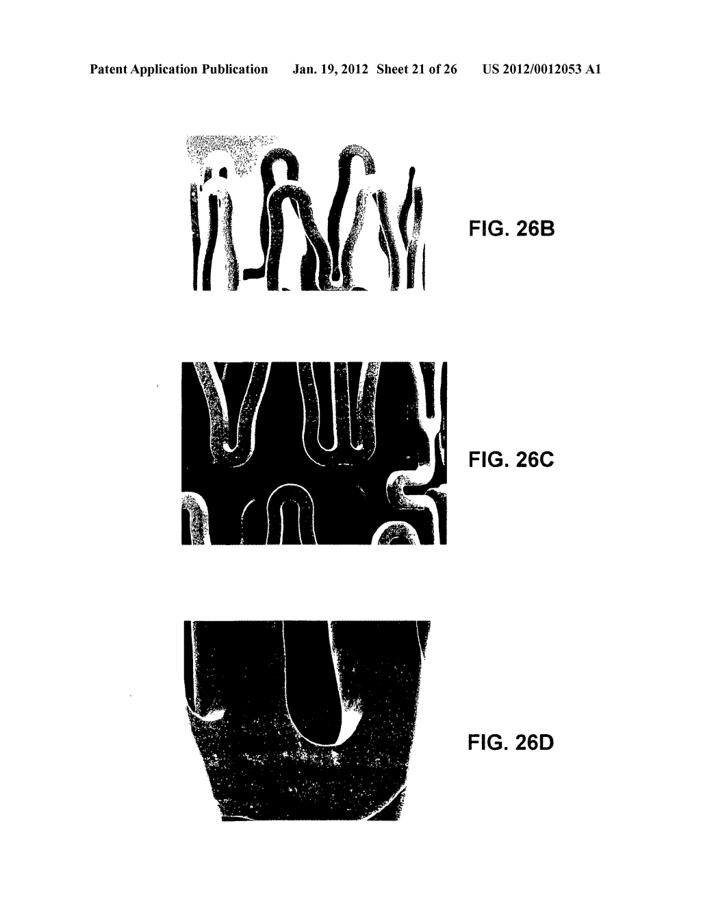 ROTATABLE SUPPORT ELEMENTS FOR STENTS - diagram, schematic, and image 22