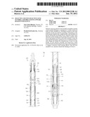 SELECTIVE AND NON-SELECTIVE LOCK MANDREL ASSEMBLY HAVING UPWARD BIASED     INNER SLEEVE diagram and image