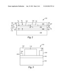 OPTICAL MICRORESONATOR SYSTEM diagram and image