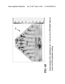 PHOTODETECTORS USING RESONANCE AND METHOD OF MAKING diagram and image