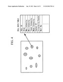 CELL OBSERVATION APPARATUS AND OBSERVATION METHOD diagram and image