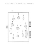 CELL OBSERVATION APPARATUS AND OBSERVATION METHOD diagram and image