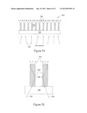 NANOWIRE LIGHT CONCENTRATORS FOR PERFORMING RAMAN SPECTROSCOPY diagram and image