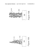 NANOWIRE LIGHT CONCENTRATORS FOR PERFORMING RAMAN SPECTROSCOPY diagram and image