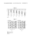 METHOD AND APPARATUS FOR TRANSMITTING REFERENCE SIGNAL IN MULTI-ANTENNA     SYSTEM diagram and image