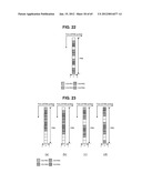 METHOD AND APPARATUS FOR TRANSMITTING REFERENCE SIGNAL IN MULTI-ANTENNA     SYSTEM diagram and image