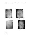 HYDROPHOBIC SILICA PARTICLES AND METHODS OF MAKING SAME diagram and image