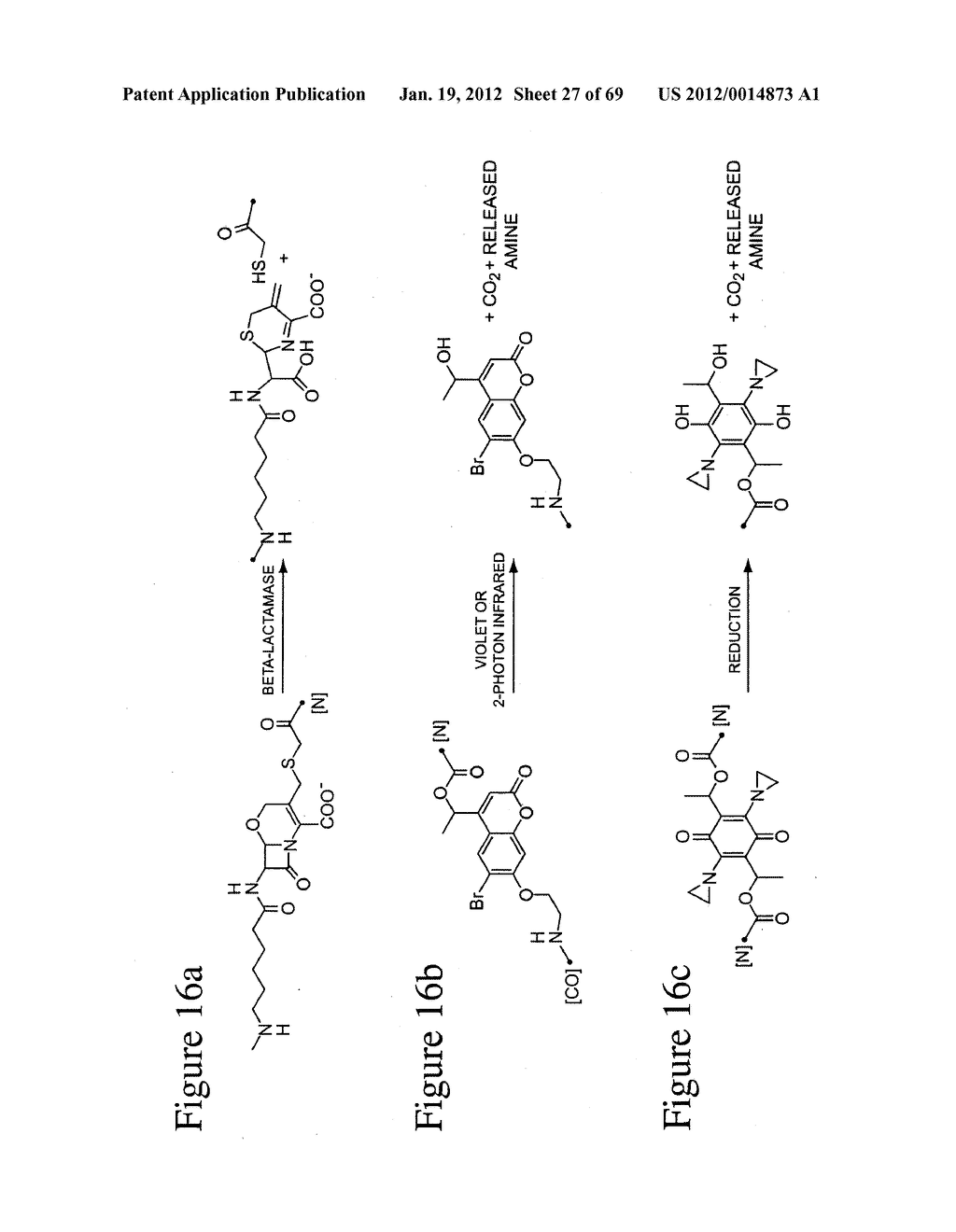 PEPTIDES WHOSE UPTAKE BY CELLS IS CONTROLLABLE - diagram, schematic, and image 28