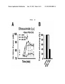 METHOD FOR THE PREVENTION AND TREATMENT OF ESSENTIAL TREMOR BY REGULATING     alpha1G T-TYPE CALCIUM CHANNEL OR BY T-TYPE CALCIUM CHANNEL BLOCKERS diagram and image