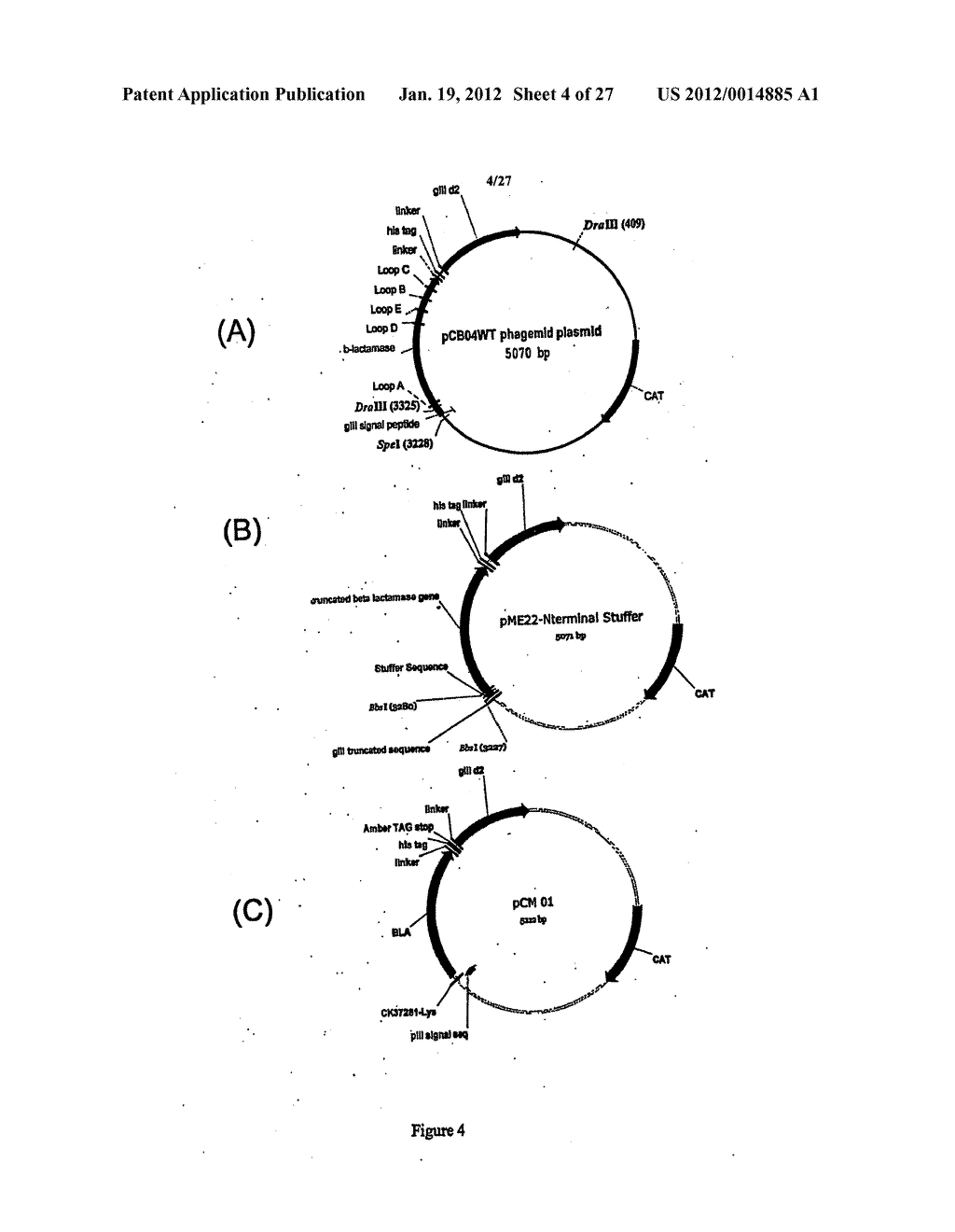 Personal Care Compositions and Methods for Their Use - diagram, schematic, and image 05