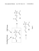 TERMINALLY-FUNCTIONALIZED CONJUGATES AND USES THEREOF diagram and image