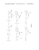 TERMINALLY-FUNCTIONALIZED CONJUGATES AND USES THEREOF diagram and image