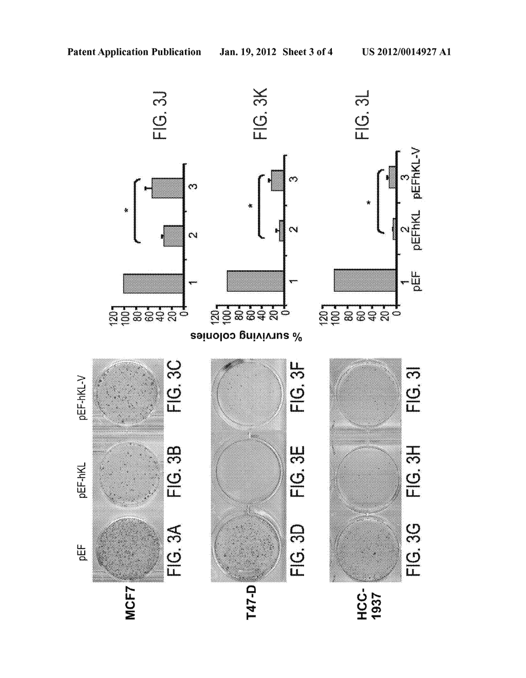 METHODS AND KITS FOR DETERMINING PREDISPOSITION TO CANCER - diagram, schematic, and image 04