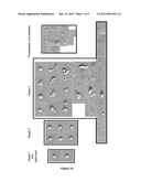 Method for Producing Platelets diagram and image