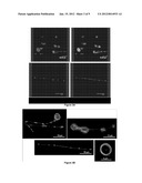 Method for Producing Platelets diagram and image