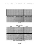 Method for Producing Platelets diagram and image