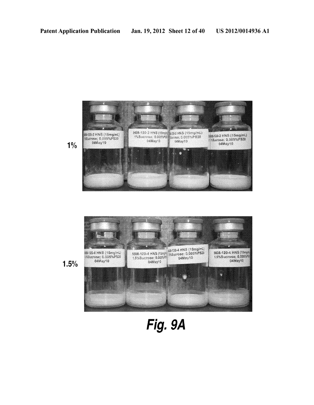 METHODS AND COMPOSITIONS FOR CNS DELIVERY OF HEPARAN N-SULFATASE - diagram, schematic, and image 13