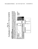 SPARC BINDING SCFVS diagram and image