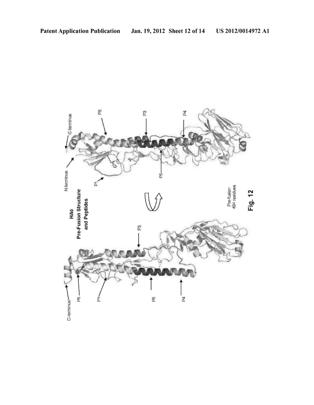 INFLUENZA VIRUS COMPOSITIONS AND METHODS FOR UNIVERSAL VACCINES - diagram, schematic, and image 13