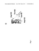  RECOMBINANT ALPHA-HEMOLYSIN POLYPEPTIDE OF STAPHYLOCOCCUS AUREUS, HAVING     A DELETION IN THE STEM DOMAIN AND HETEROLOGOUS SEQUENCES INSERTED diagram and image