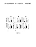 REPLICATION DEFICIENT RECOMBINANT VIRUSES EXPRESSING ANTIGENS REGULATED BY     TRANSCRIPTIONAL CONTROL ELEMENTS COMPRISING MULTIPLE ELEMENTS diagram and image