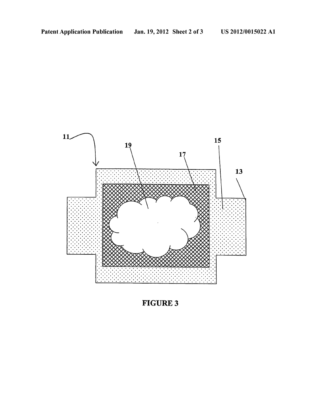 Biodegradable wound care products with biocompatible artificial skin     treatment - diagram, schematic, and image 03