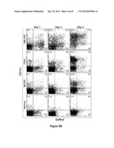 Dendritic Cell Precursor Populations, Dendritic Cell Populations Derived     Therefrom and Uses Thereof diagram and image