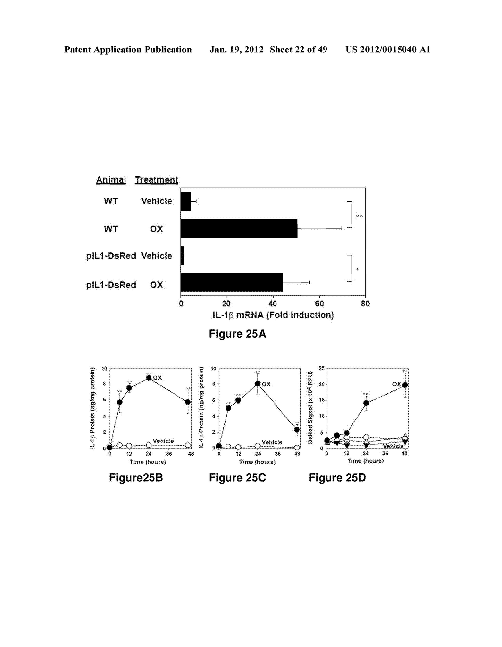 Dendritic Cell Precursor Populations, Dendritic Cell Populations Derived     Therefrom and Uses Thereof - diagram, schematic, and image 23