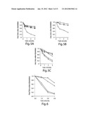 RNA SEQUENCE-SPECIFIC MEDIATORS OF RNA INTERFERENCE diagram and image