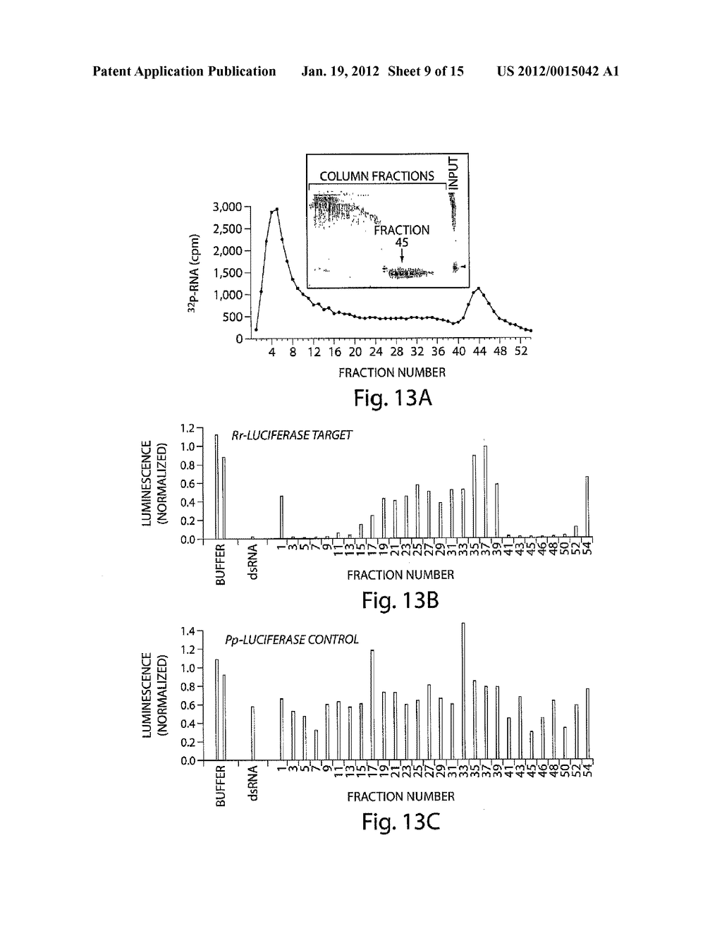 RNA SEQUENCE-SPECIFIC MEDIATORS OF RNA INTERFERENCE - diagram, schematic, and image 10