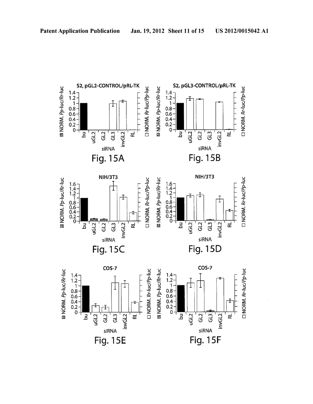 RNA SEQUENCE-SPECIFIC MEDIATORS OF RNA INTERFERENCE - diagram, schematic, and image 12