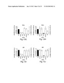 RNA SEQUENCE-SPECIFIC MEDIATORS OF RNA INTERFERENCE diagram and image